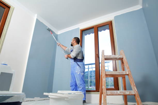 Best Mold Remediation for Healthcare Facilities  in Pearsall, TX