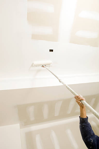 Best Emergency Mold Remediation  in Pearsall, TX