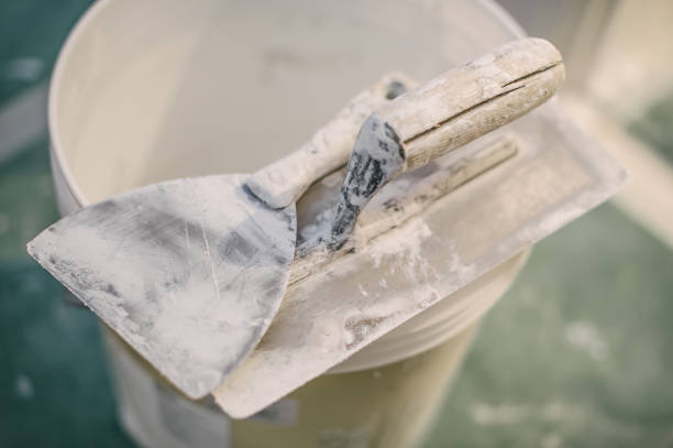 Best Mold-Related Health Consultation  in Pearsall, TX